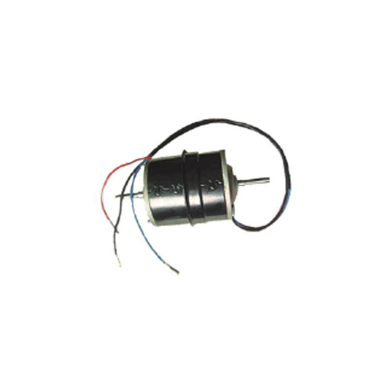 82a303 Paykan calefacientis